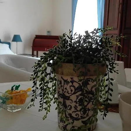 ベッド・アンド・ブレックファスト Il Portoncino ナポリ